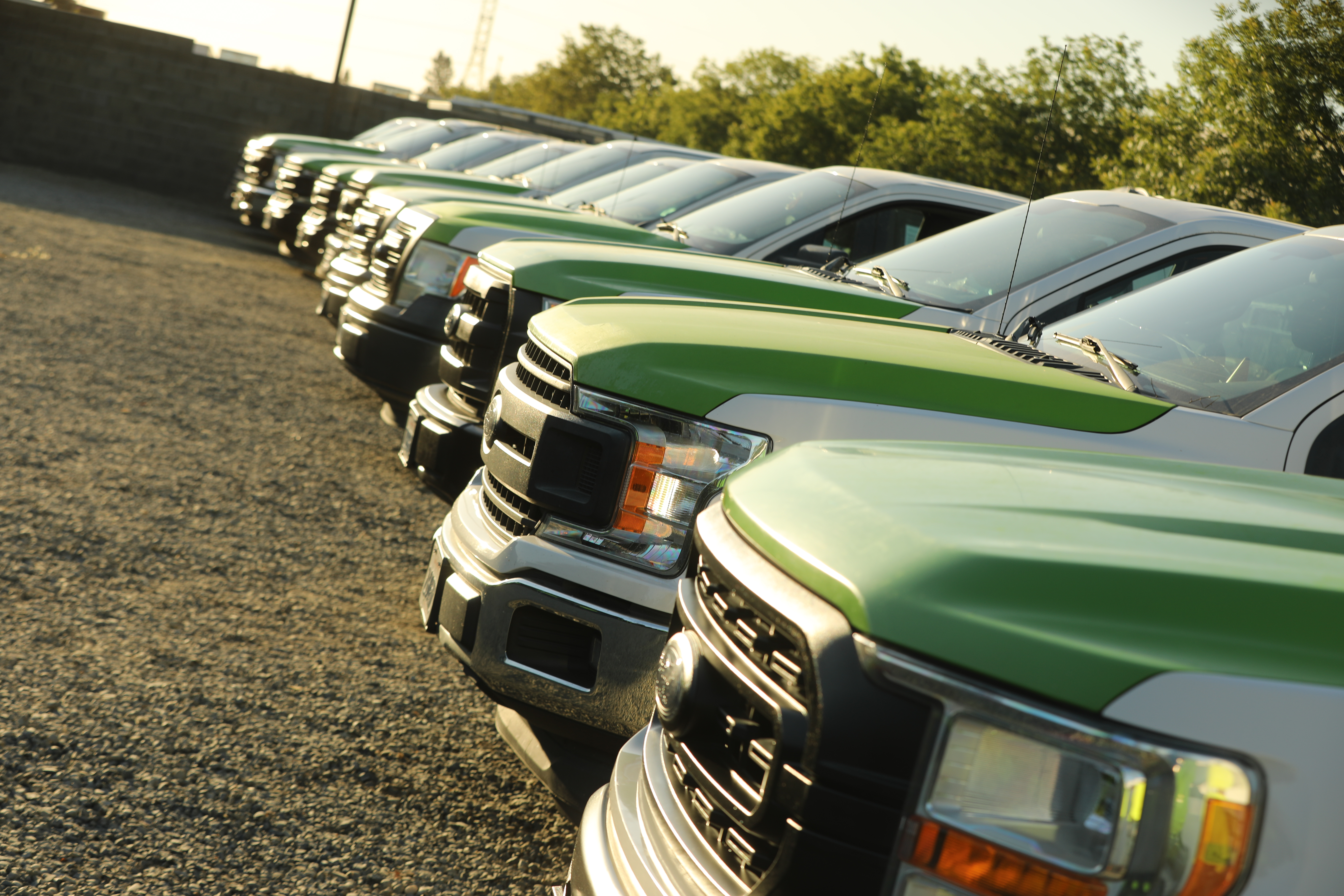 Nine of BellaVista’s Ford vehicles parked in a row. Aftermarket wrap shown.